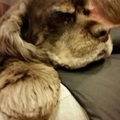 Suzy Decker's photo