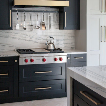 Greenwood Village Contemporary Home Remodel - Kitchen