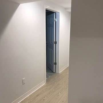 Bright And Light Finished Basement, Wayland, MA