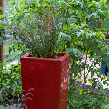 South Austin Backyard Social Club
