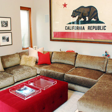 Living Room / Media Room