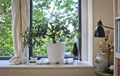 My Houzz: Leafy, Light-Filled Loft in a Historic Former High School