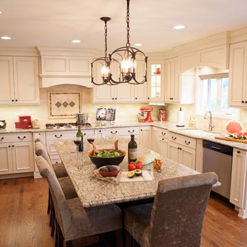 Italian Contemporary Kitchen in Hoffman Estates