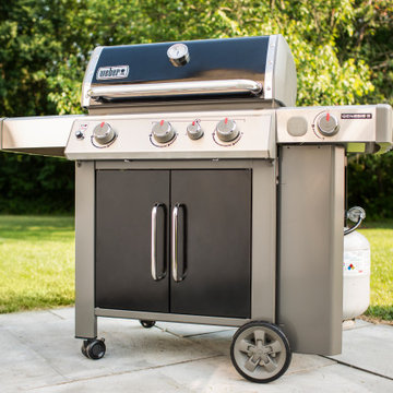 Weber Genesis II