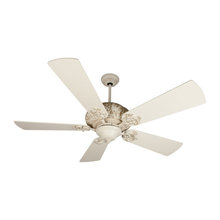 Ceiling fans