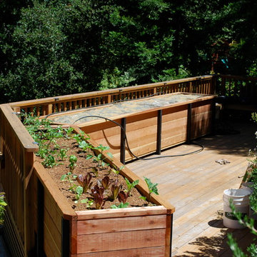 JD Garden, Hillsborough
