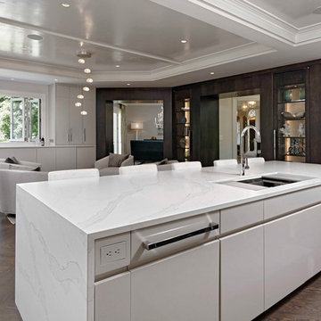 Contemporary Luxury Kitchen, Master Bathroom and Basement Renovation