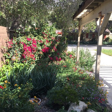 Claremont Homes