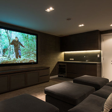 Home theatre