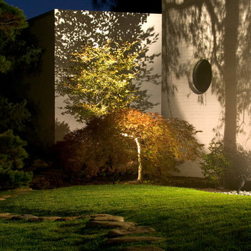 Modern Garden