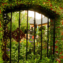 Landscape Ideas