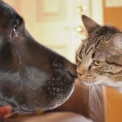 Diana Boos's photo