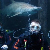 Ken Kencevski's photo