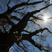 Rene Rondeau's photo