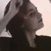 M V's photo