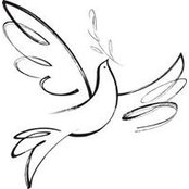 Catherine Colgan's photo