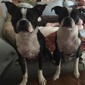 Kris Williams's photo