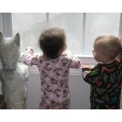 Dan Tanguay's photo