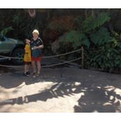 Sandy Cook's photo