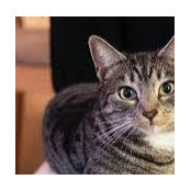 ewa bayman's photo