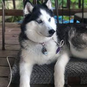 Tracy Kohut's photo