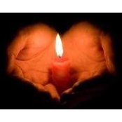 Shannon Payne's photo