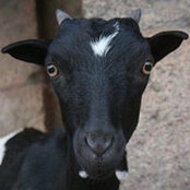 Aaron Silberstein's photo