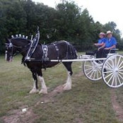 Pat Albanese's photo