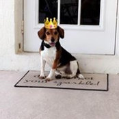 Kelly Fenlin's photo