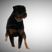 Richard Donogh's photo