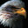 T's Construction Enterprise llc