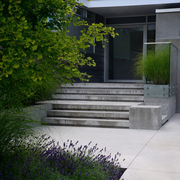 Ravine House