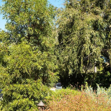 2018 Native Plant Garden Tour