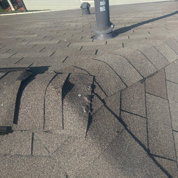 Roof Tune Up