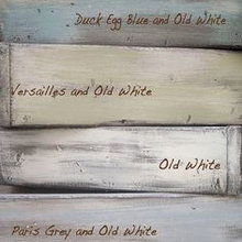 Color Palettes