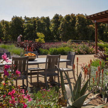 Santa Paula Garden