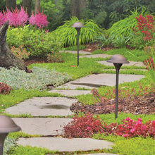 Backyard Landscape