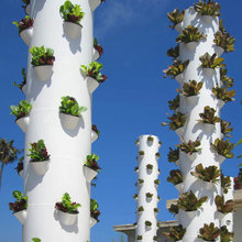 Vertical garden