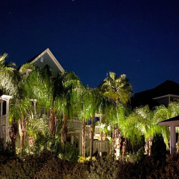 More Lawn Care & Landscaping Work