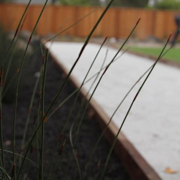 Bocci Ball Court