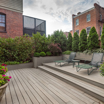 Kalorama DC Courtyard Garden