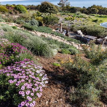 Summerland Beach Deck and Landscape