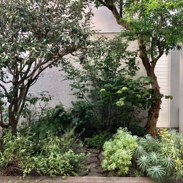 House_Setagaya-4_Garden