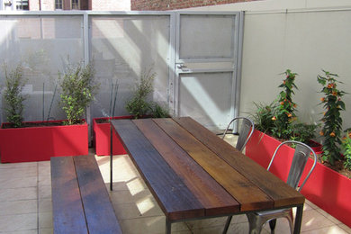 Mid-sized trendy side yard stone patio photo in San Francisco with no cover