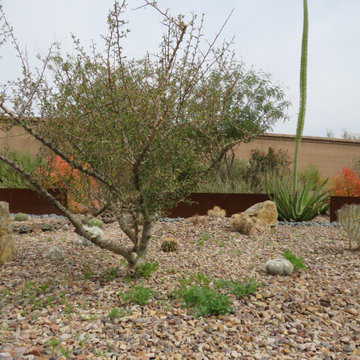 Southwestern Backyard Landscape - Mesa, AZ