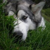Barbara Comley's photo