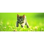 Deborah Walker's photo