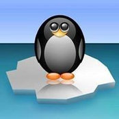 Dinesh Dhanasekharan's photo