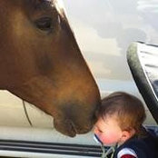 Tammy Hudson Rhodes's photo