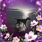 Sharon Ventres's photo